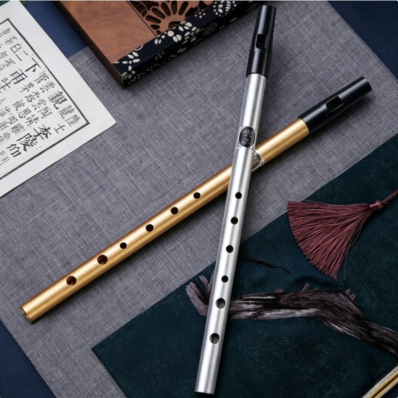 Penny Whistle D - Authentische 6-Loch C/D-Ton Irische Pfeife, Blechpfeife