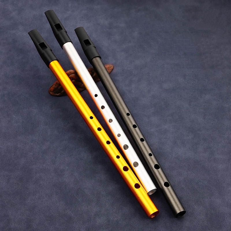 Penny Whistle D - Authentische irische Flöte mit 6 Löchern,