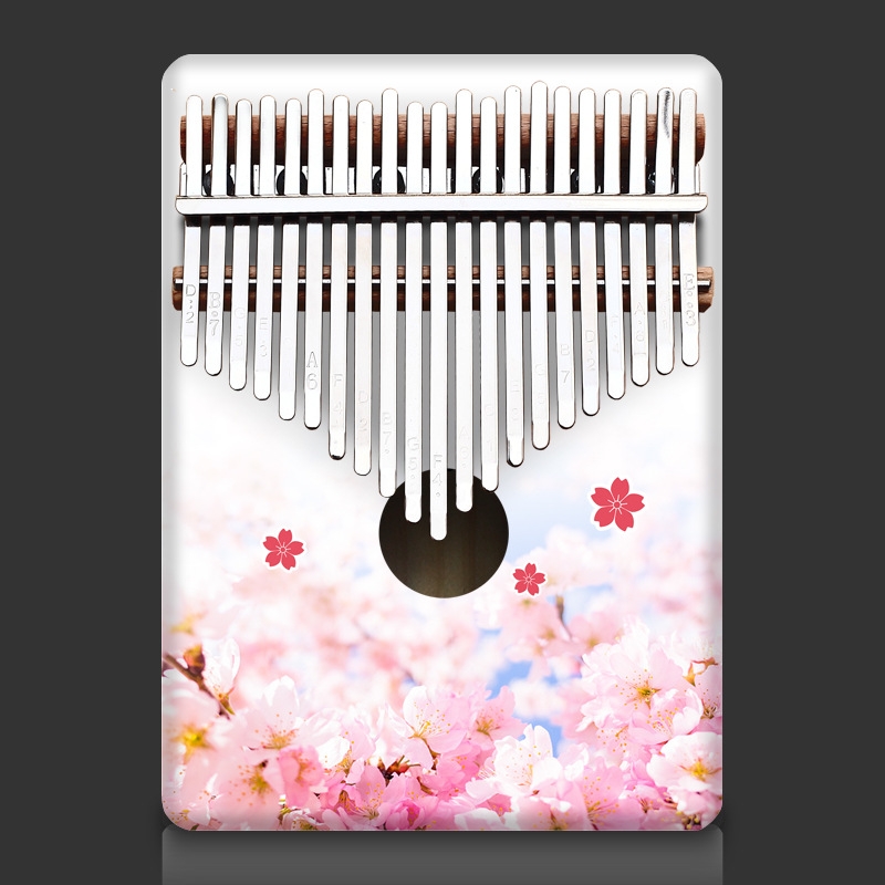 Bunte 21 Schlüssel Kalimba Kin – Musical Instrument Of Keyboard Bewertung und Preis