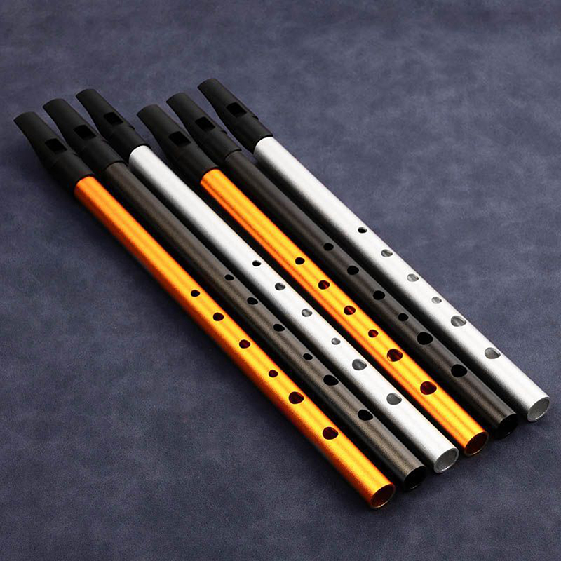 1 Stück Authentische Irische P – Penny Whistle D Bewertung und Preis