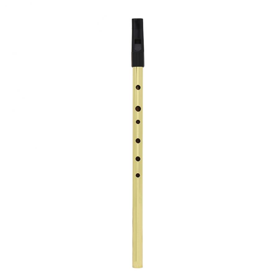 Irish Pfeife Sopran Flöte D To – Penny Whistle D Bewertung und Preis