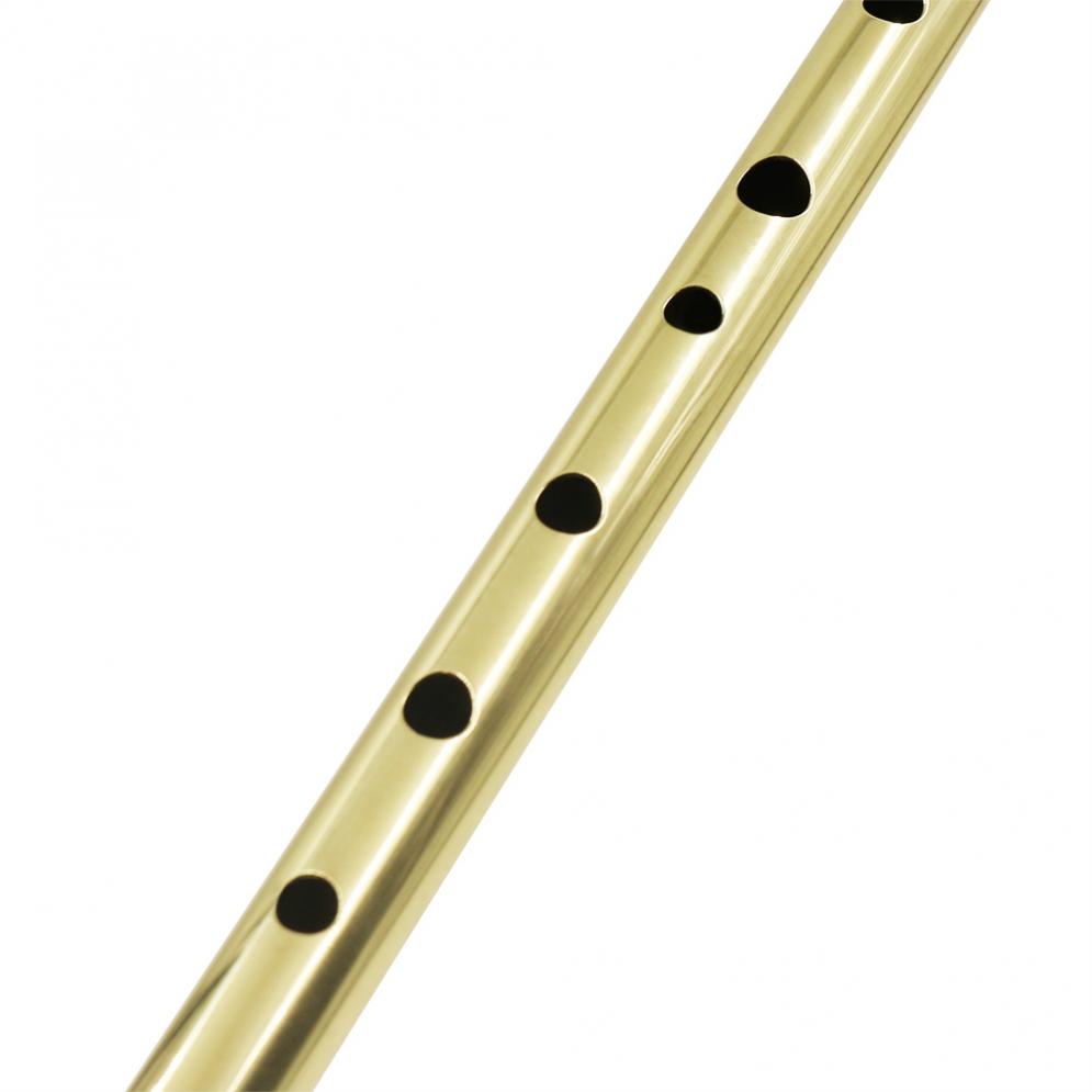 Irish Pfeife Sopran Flöte D To – Penny Whistle D Bewertung und Preis