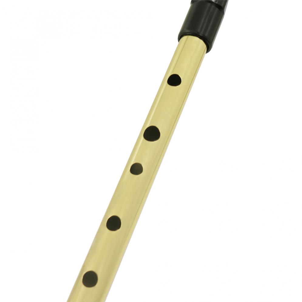 Irish Pfeife Sopran Flöte D To – Penny Whistle D Bewertung und Preis