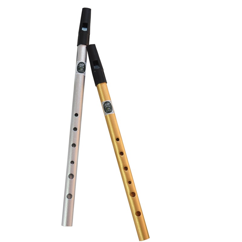 Authentische 6-Loch C/D-Ton Ir – Penny Whistle D Bewertung und Preis