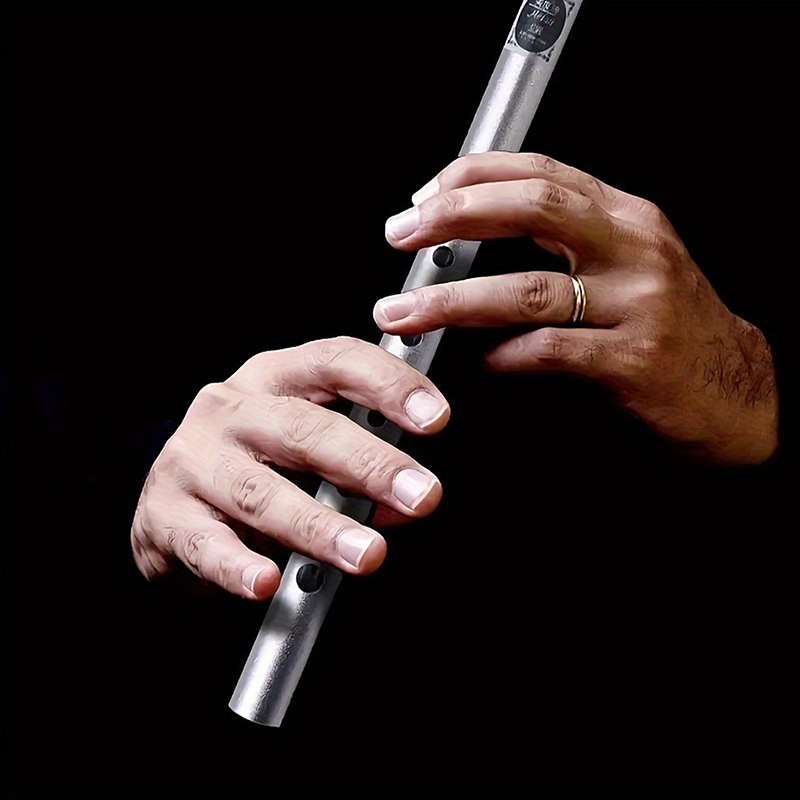 Authentische irische Flöte mit – Penny Whistle D Bewertung und Preis