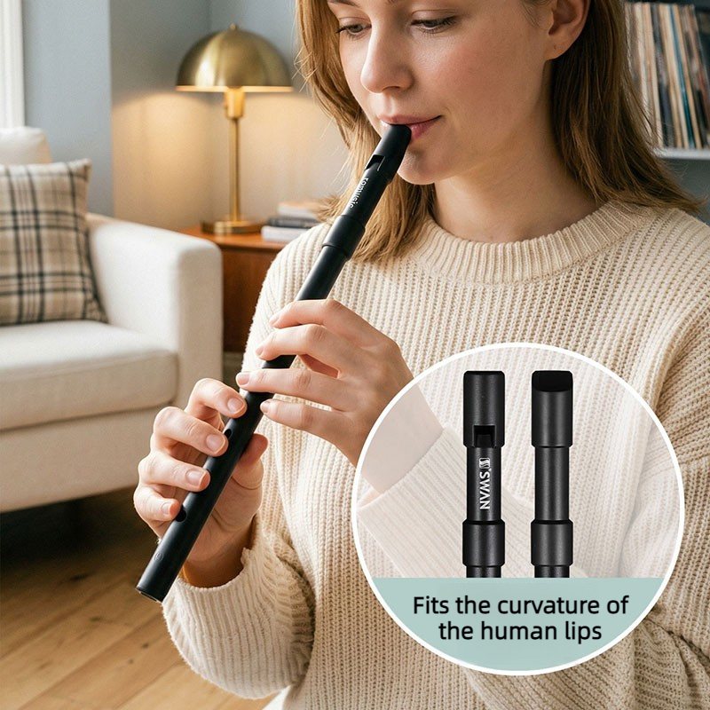 C/D Schlüssel Blechpfeife für  – Penny Whistle D Bewertung und Preis