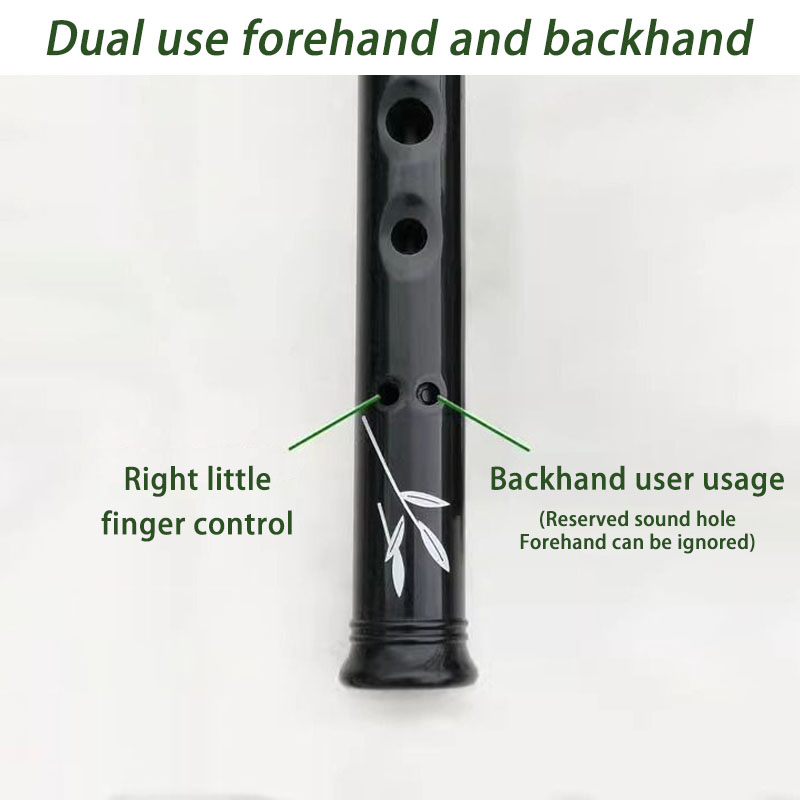 D/C Key Resin Penny Whistle fü – Penny Whistle D Bewertung und Preis