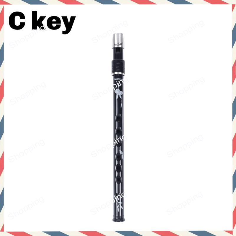 A44M 6-Loch irische Zinn-Penny – Penny Whistle D Bewertung und Preis