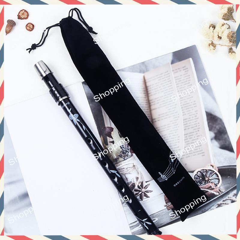 A44M 6-Loch irische Zinn-Penny – Penny Whistle D Bewertung und Preis
