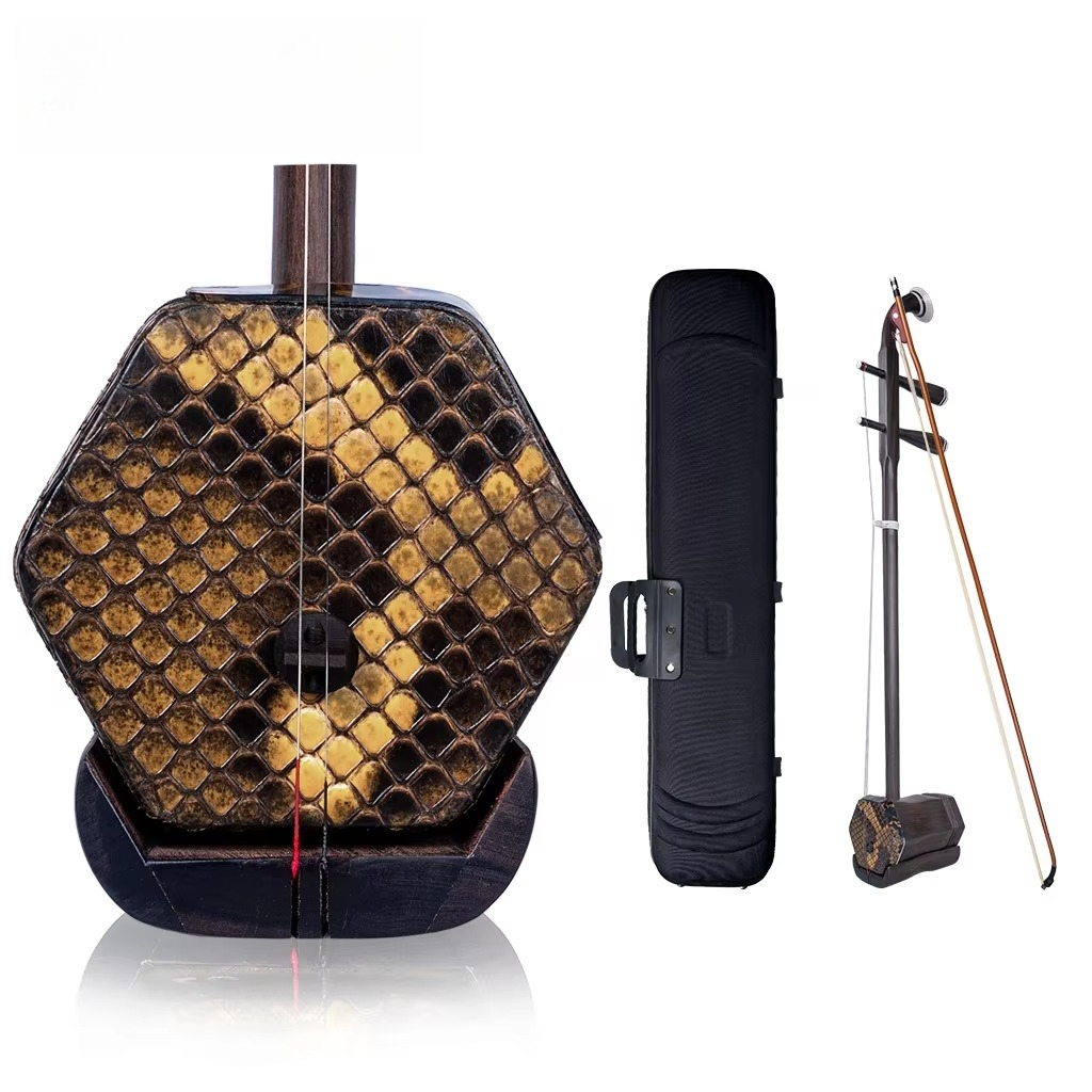 Advanced Erhu Performers Maste – Musical Instrument Fiddle Bewertung und Preis