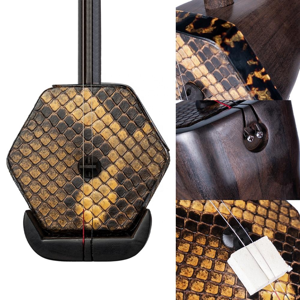 Advanced Erhu Performers Maste – Musical Instrument Fiddle Bewertung und Preis